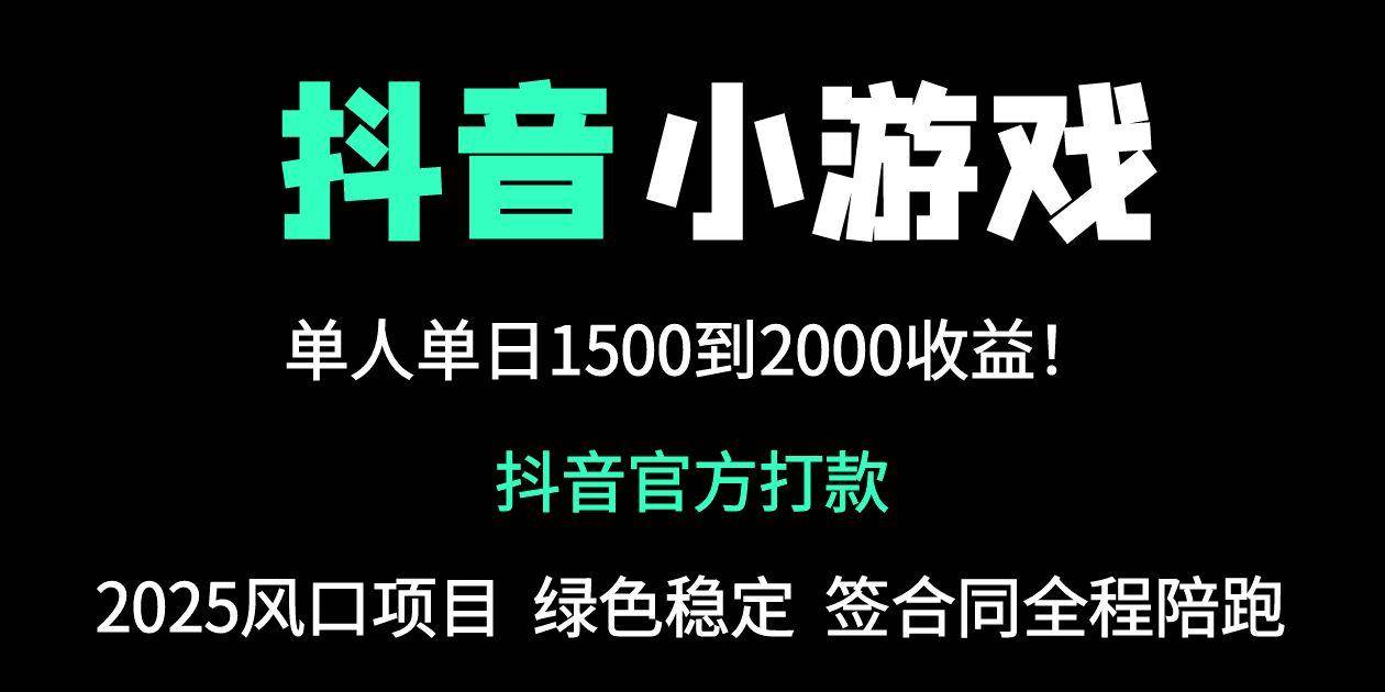 (4.25)抖音官方小游戏2025全网最新玩法，暴利赚钱项目，单机日入2000+，绝不